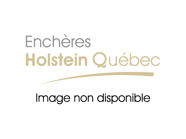 Aucune image disponible pour le moment